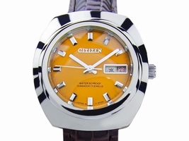 Citizen Diashock 17 Jewels Manual Vintage Mens 1970 CITIZEN