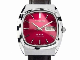 Citizen Stainless Steel Manual 36mm Citizen