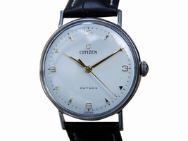 Citizen Phynox Stainless Steel & Leather 33mm Citizen DeLuxe