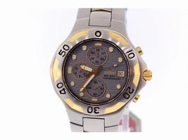 Citizen Promaster AN0694-51P Stainless Steel with Gold Accents 40mm Mens Citizen