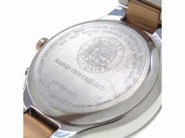 Citizen E58085-56 W Titanium 23mm Citizen