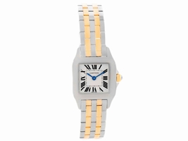 Cartier Santos Demoiselle W25066Z6 Stainless Steel & 18K Yellow Gold 22mm Womens Cartier
