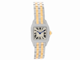 Cartier Santos Demoiselle W25066Z6 Stainless Steel & 18K Yellow Gold 22mm Womens Cartier