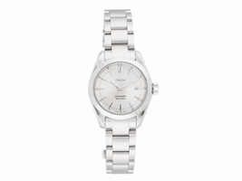 Omega Seamaster Aqua Terra Stainless Steel Quartz 29mm Men's Omega